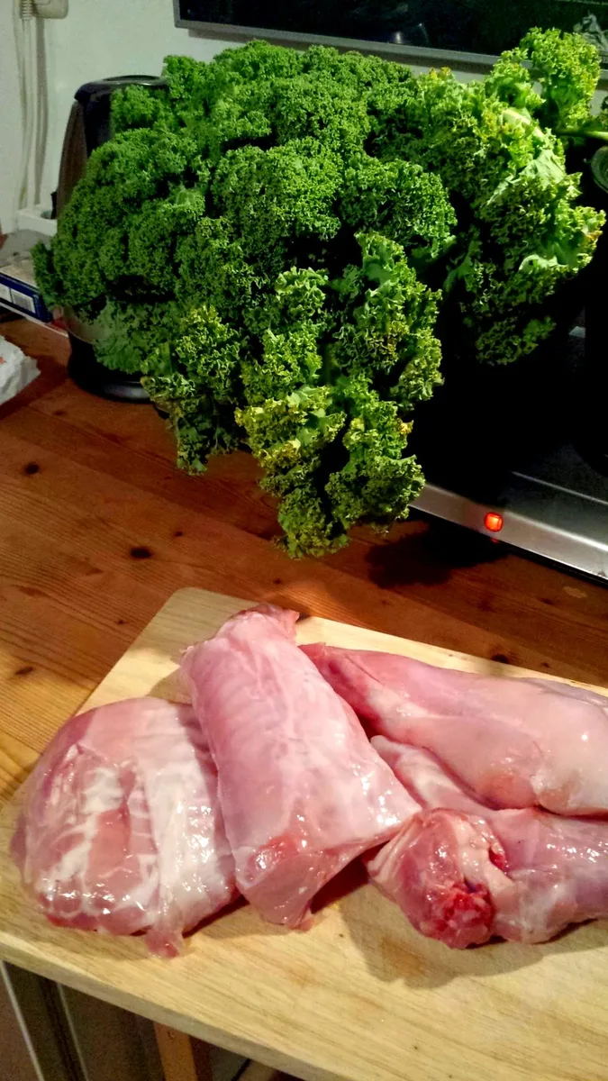 Halber Hase geviertelt und Grünkohl