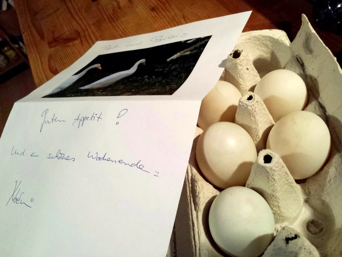 Enteneier mit Beipackzettel