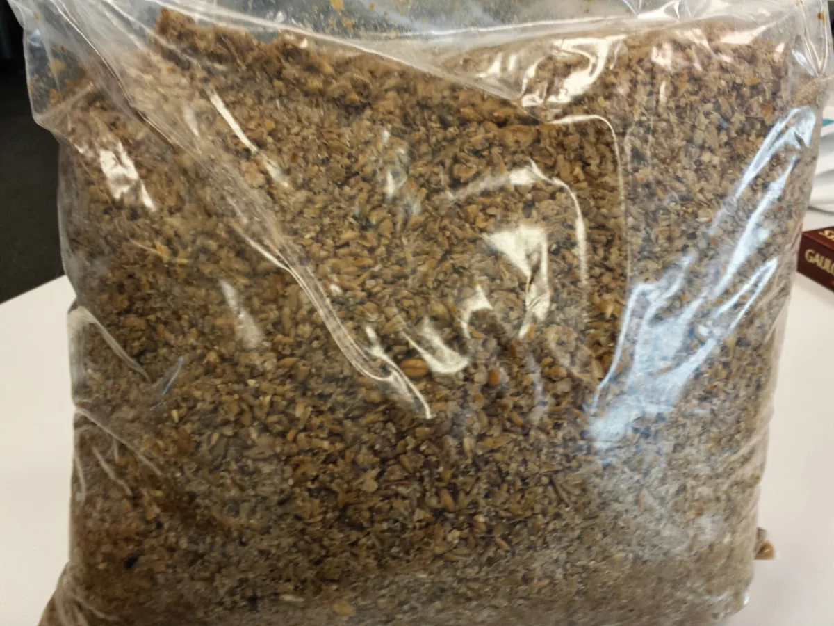 Malzpampe, auch Treber genannt