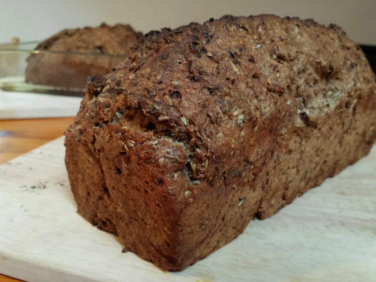 Das fertig gebackene Treberbrot