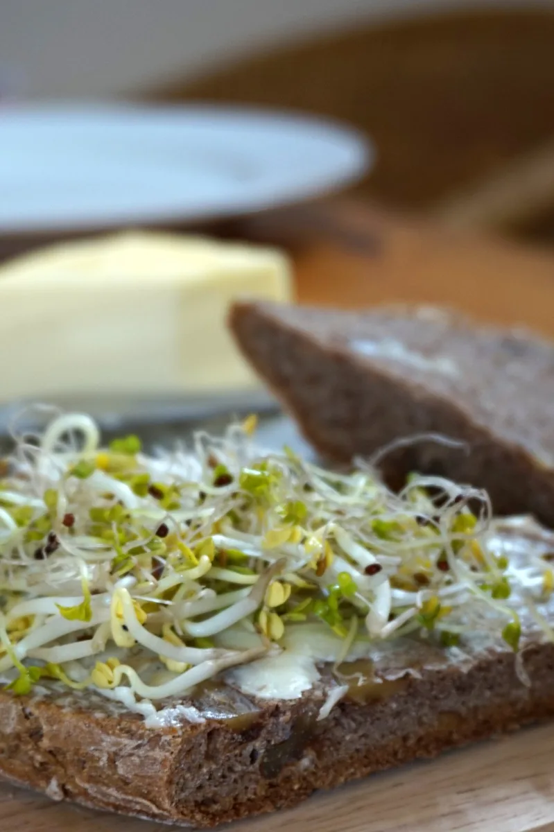 Roggenvollkornbrot mit Butter und Sprossen.
