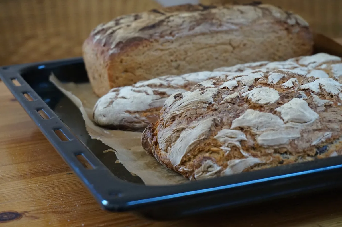 Roggenmischbrot mit Sonnenblumen- und Kürbiskernen: Ein kleines Runde und ein Längliches - und eines im Kasten.