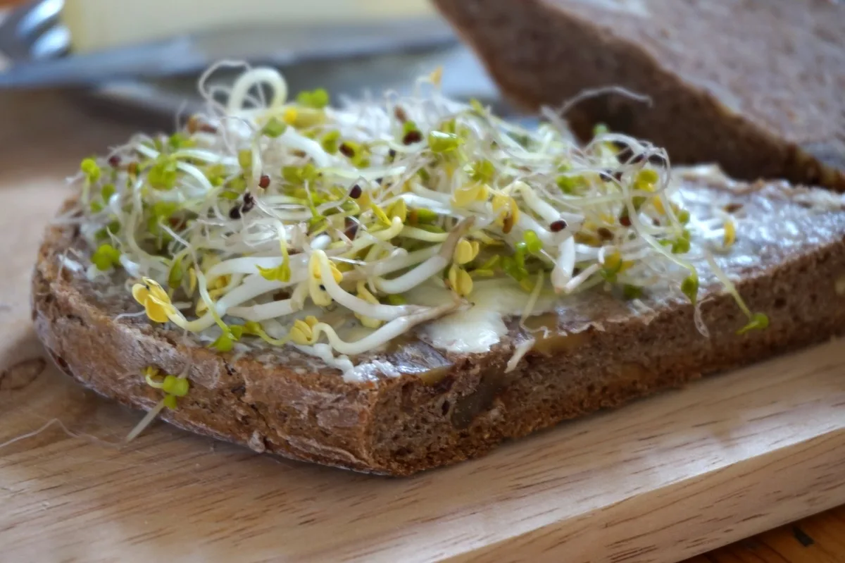 Roggenvollkornbrot mit Butter und Sprossen.