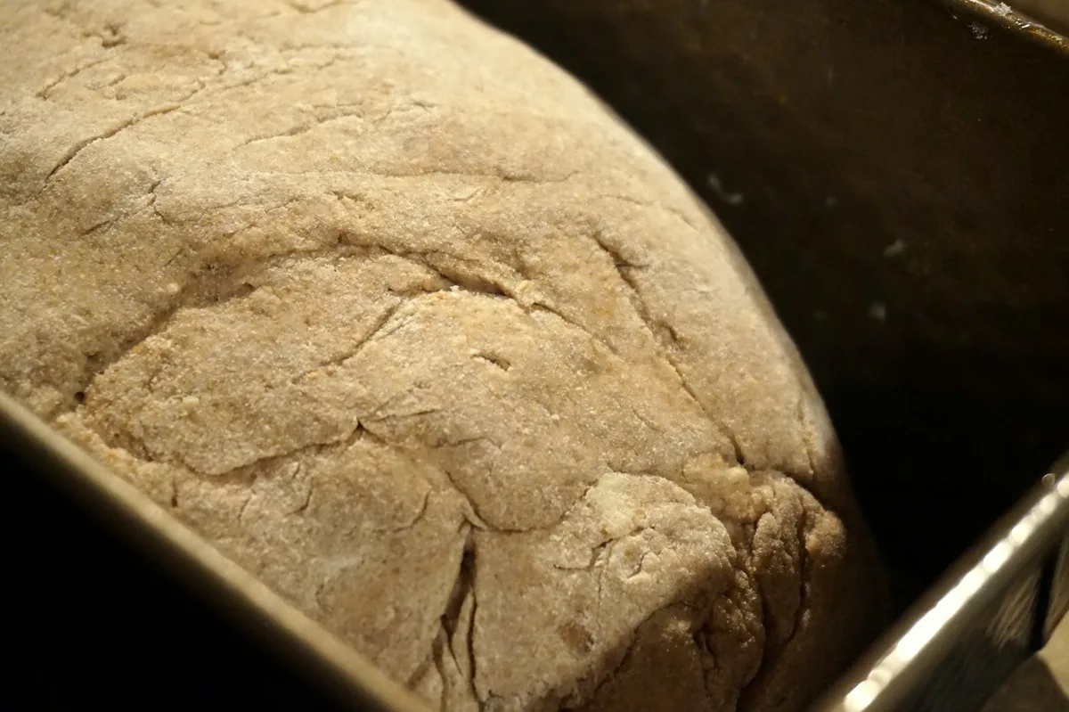 Geknetet und in der Form: Das Brot wartet auf den heißen Ofen.