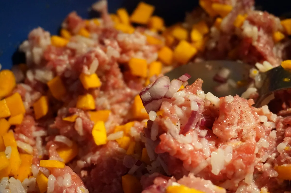 Hackfleisch, Reis, Kürbis, Zwiebel, Knoblauch