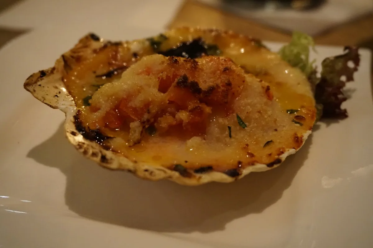 Jakobsmuschel, gratiniert