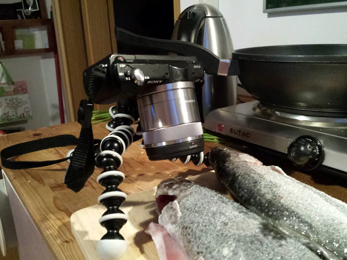 Ich schau dir ins Auge - Makro mit Stativ