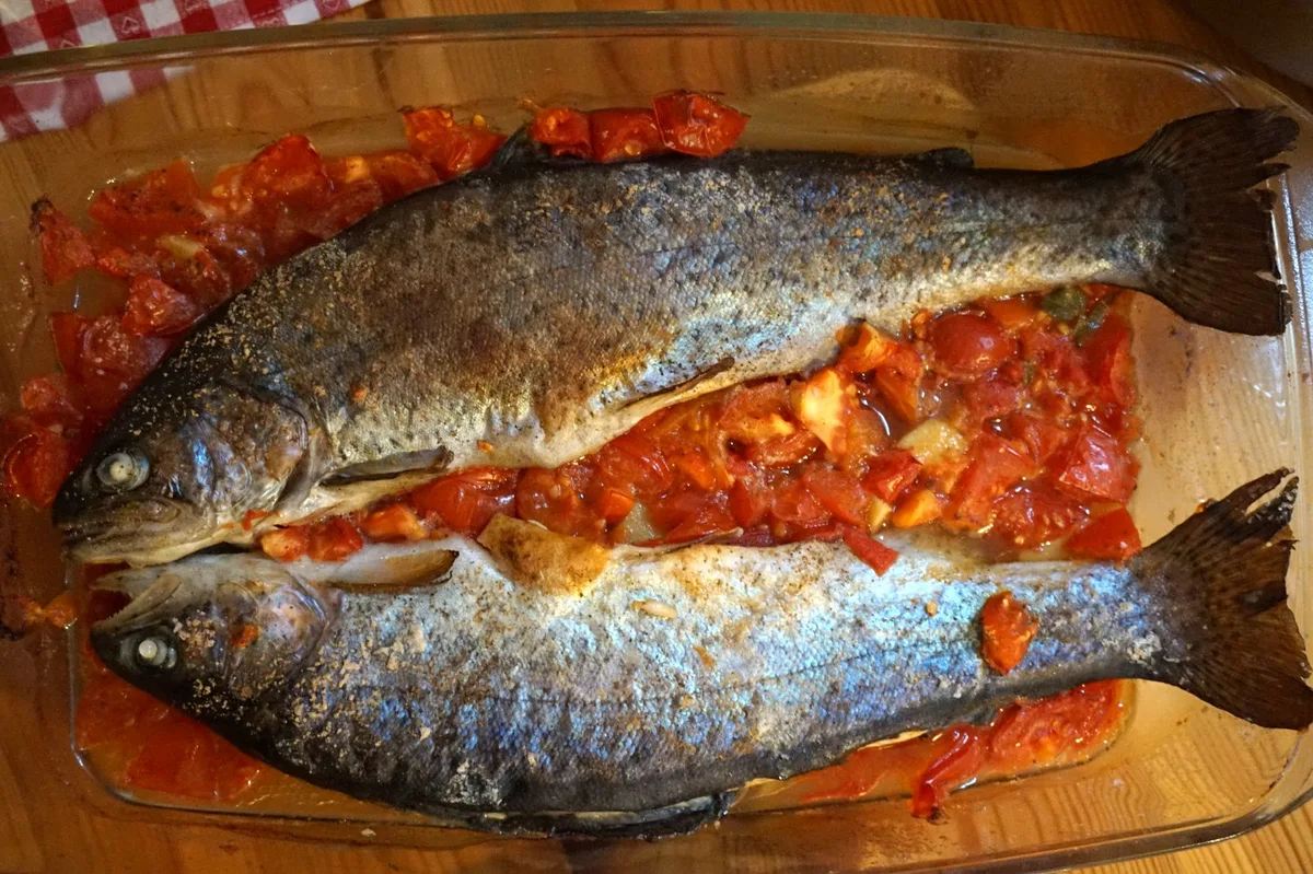 Fertig vorbereitet - die Forellen können in den Backofen.