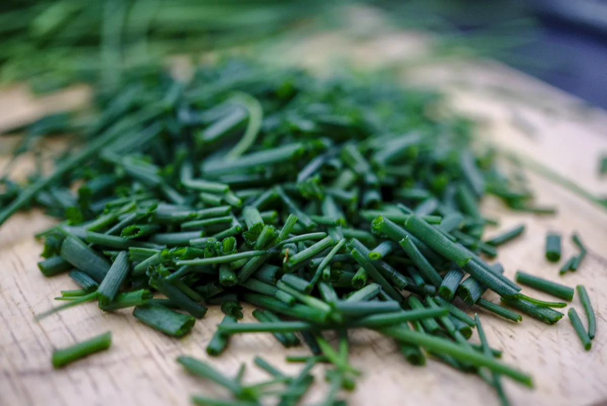 Frisch geschnittener Schnittlauch.