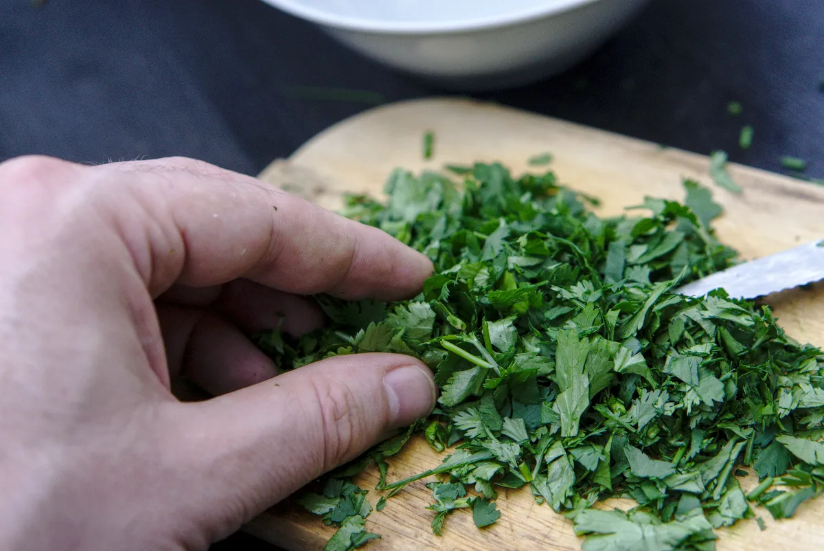 Kordiander, grünes Gold.