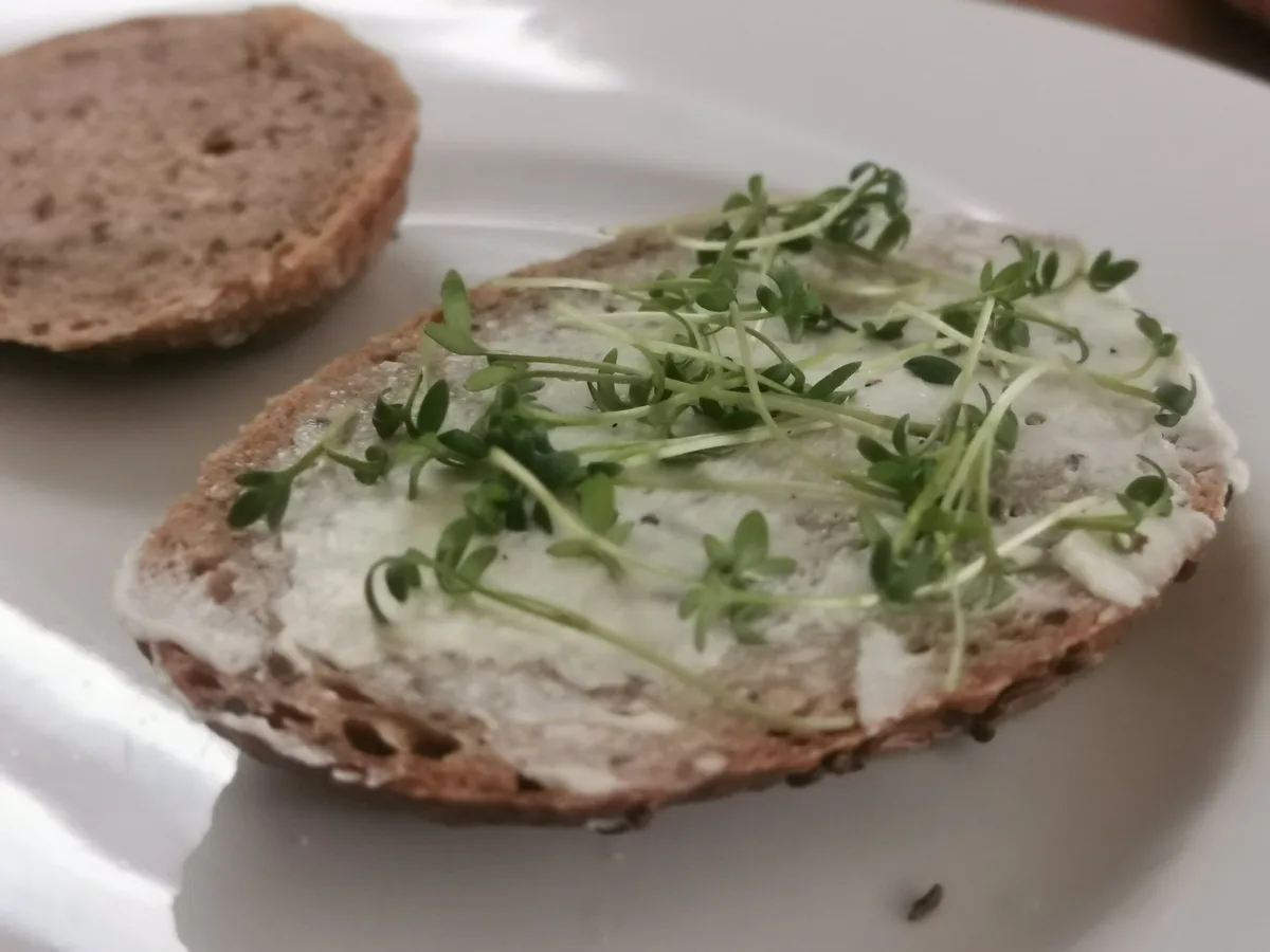 Ein Butterbrot mit Kresse.