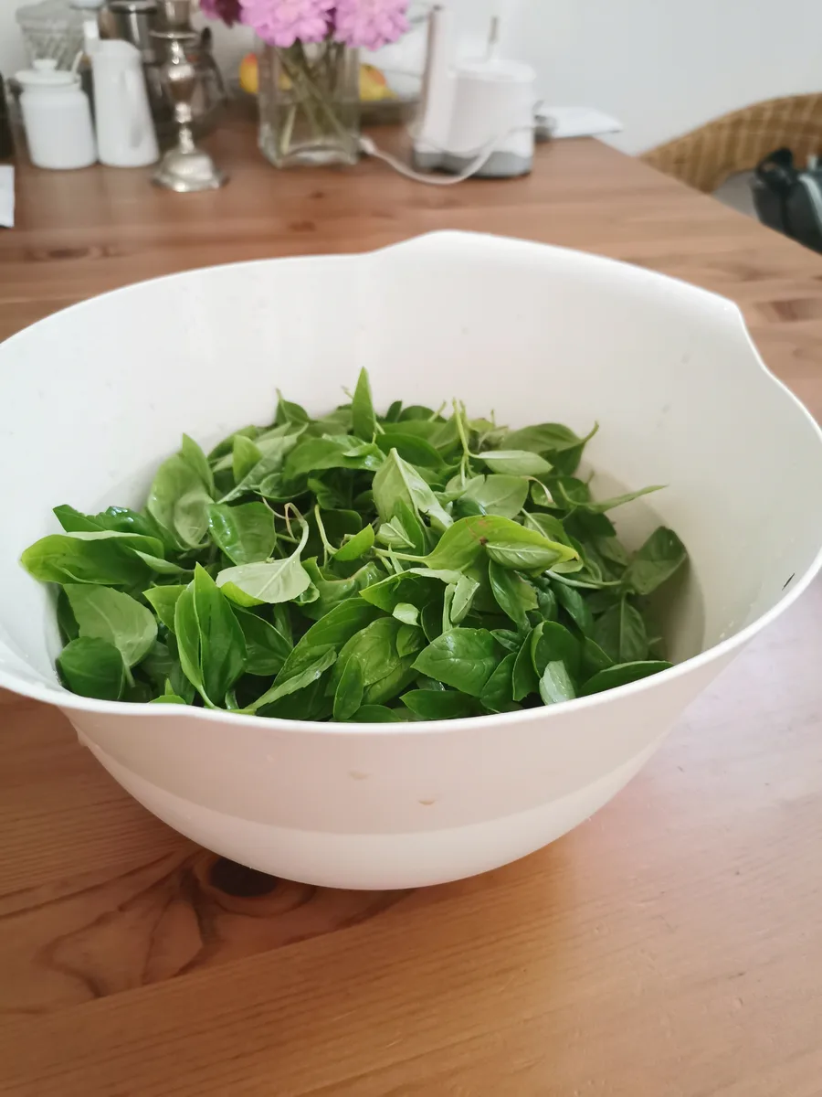 Gezupfte Basilikumblätter, 160 Gramm.